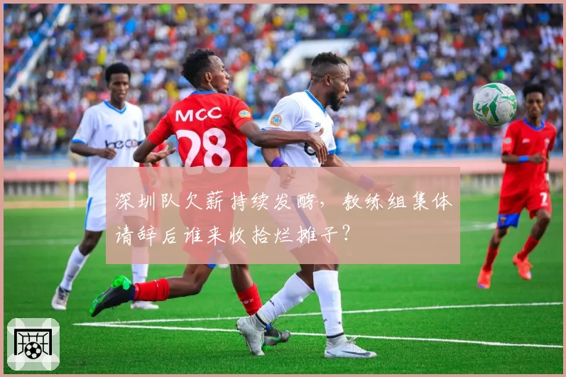 深圳队欠薪持续发酵,教练组集体请辞后谁来收拾烂摊子?