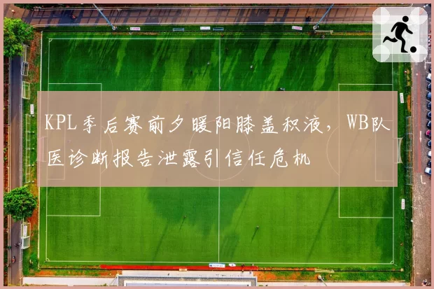 KPL季后赛前夕暖阳膝盖积液，WB队医诊断报告泄露引信任危机