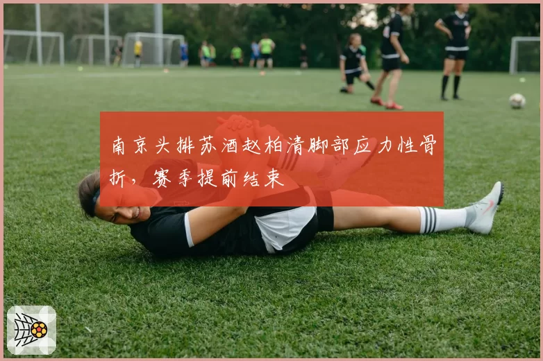 南京头排苏酒赵柏清脚部应力性骨折，赛季提前结束