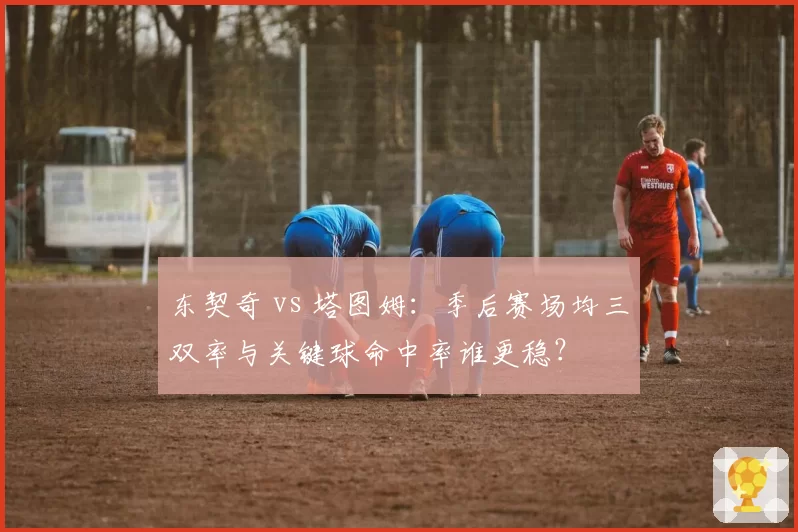 东契奇 vs 塔图姆：季后赛场均三双率与关键球命中率谁更稳？