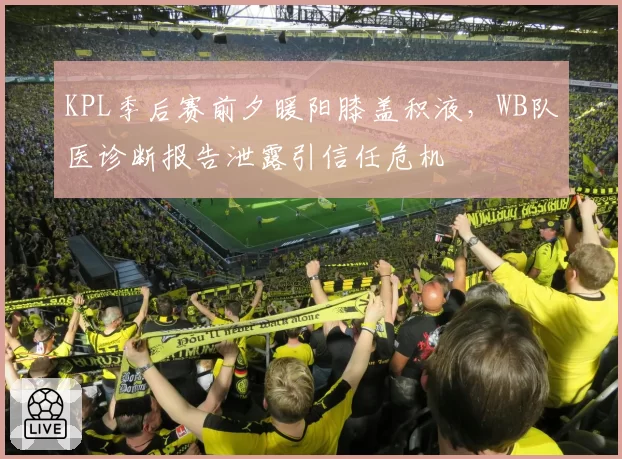 KPL季后赛前夕暖阳膝盖积液，WB队医诊断报告泄露引信任危机