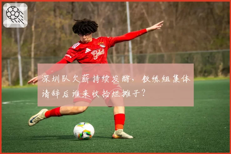 深圳队欠薪持续发酵,教练组集体请辞后谁来收拾烂摊子?